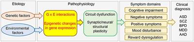 The Molecular Basis of Depression: Implications of Sex-Related Differences in Epigenetic Regulation